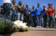 re227xgyX_20090527.jpg