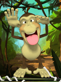 funnymonke_3c9flj8n.gif