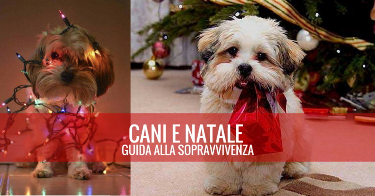 CANI-E-NATALE-765x400.png