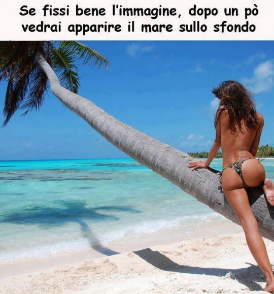 tumblr_mm4wftrvzl1s07fdco1_1280.jpg