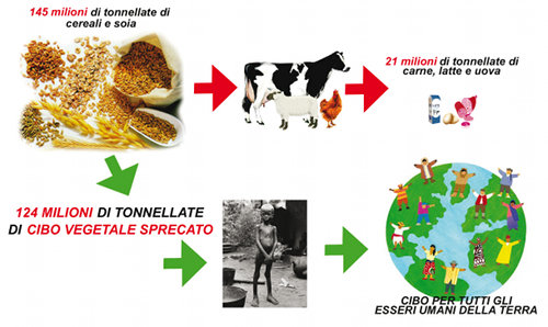 spreco-cibo-fame-nel-mondo.jpg