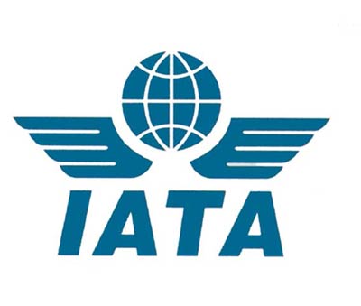 DDN%20-%20Logo%20IATA.jpg