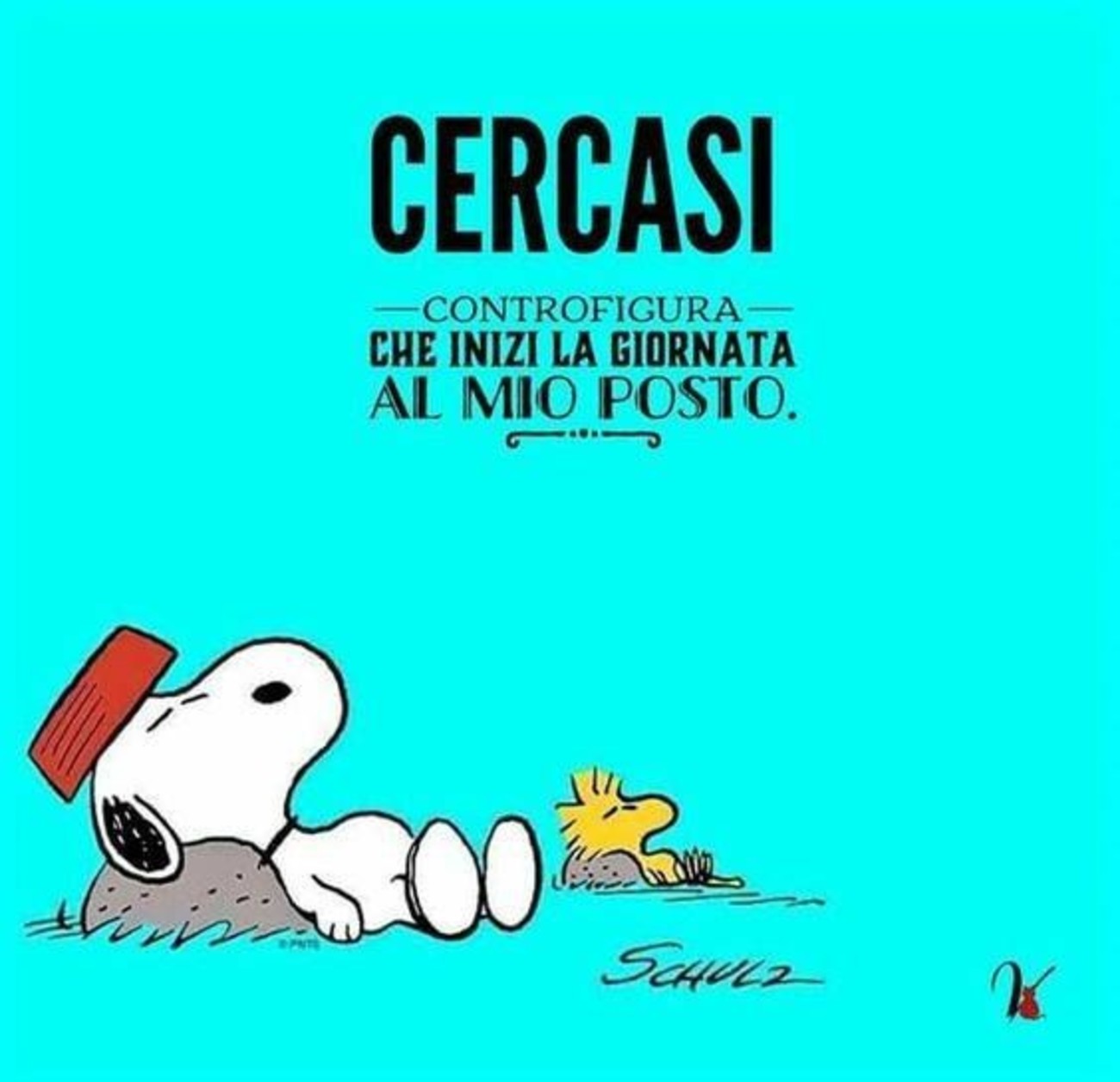 Immagini-da-ridere-Snoopy-5.jpg