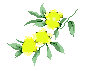 FG-feastadonna_8.gif