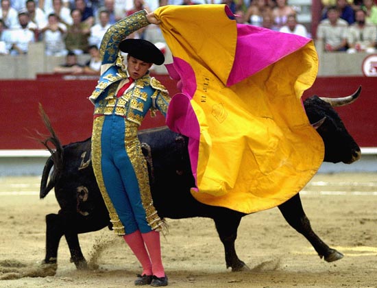 torero-juli.jpg