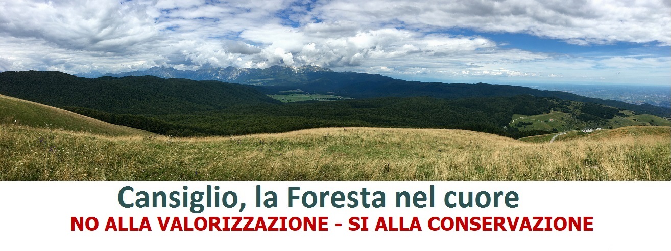 cansiglio.it