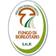 www.fungodiborgotaro.com