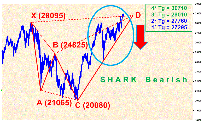 SharkBearish.GIF