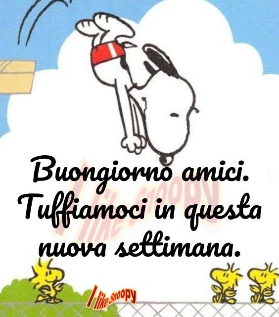 buona-settimana_059.jpg