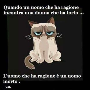 357379d7ee391b364e559f5f90379cbe.jpg