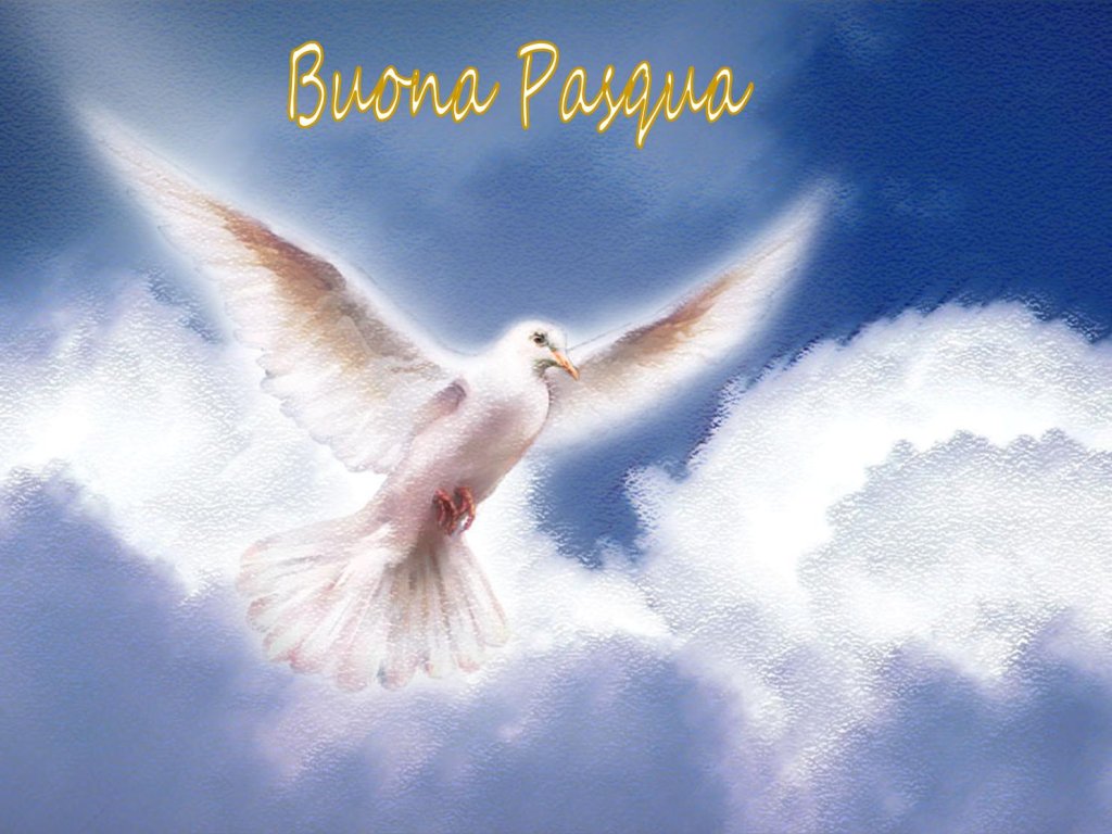 colomba-Pasqua.jpg