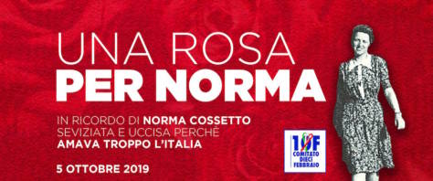 Norma-474x198.jpg