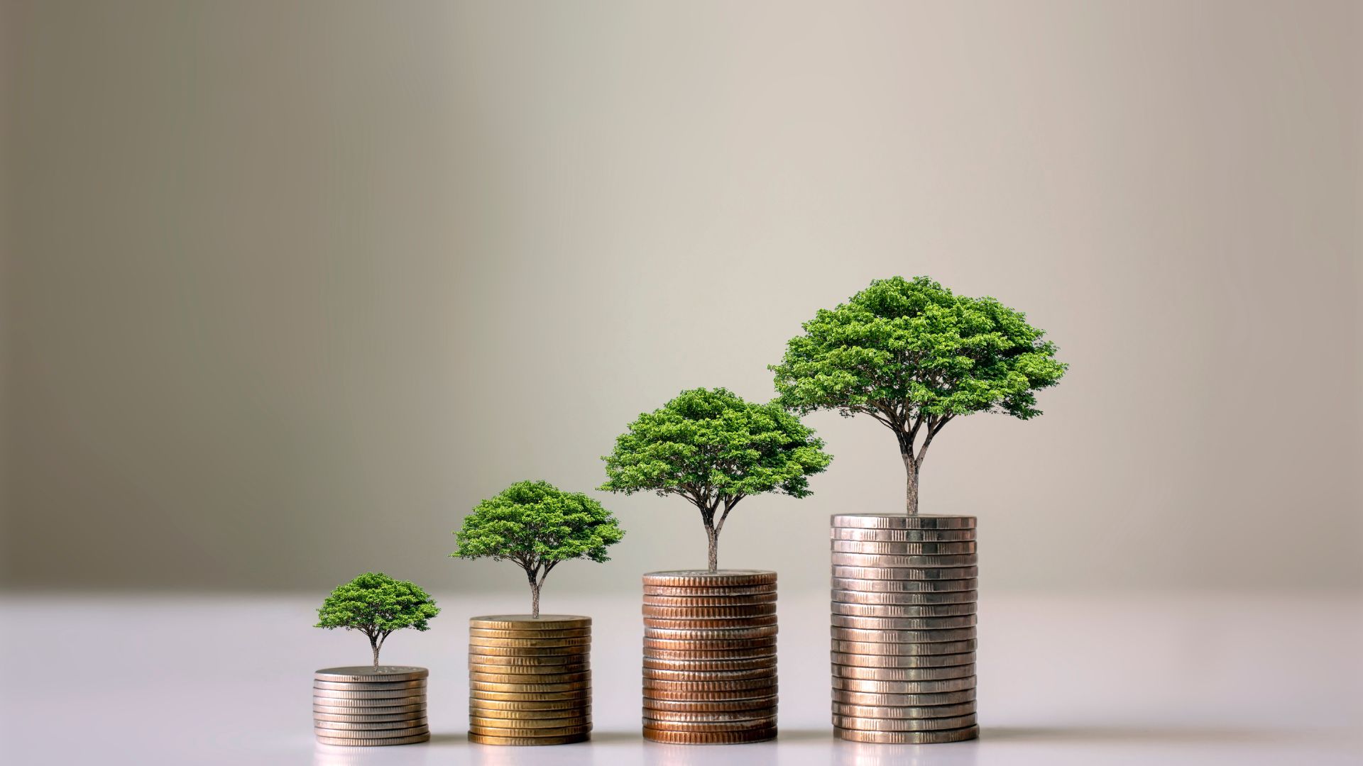 disciplinefunds.com