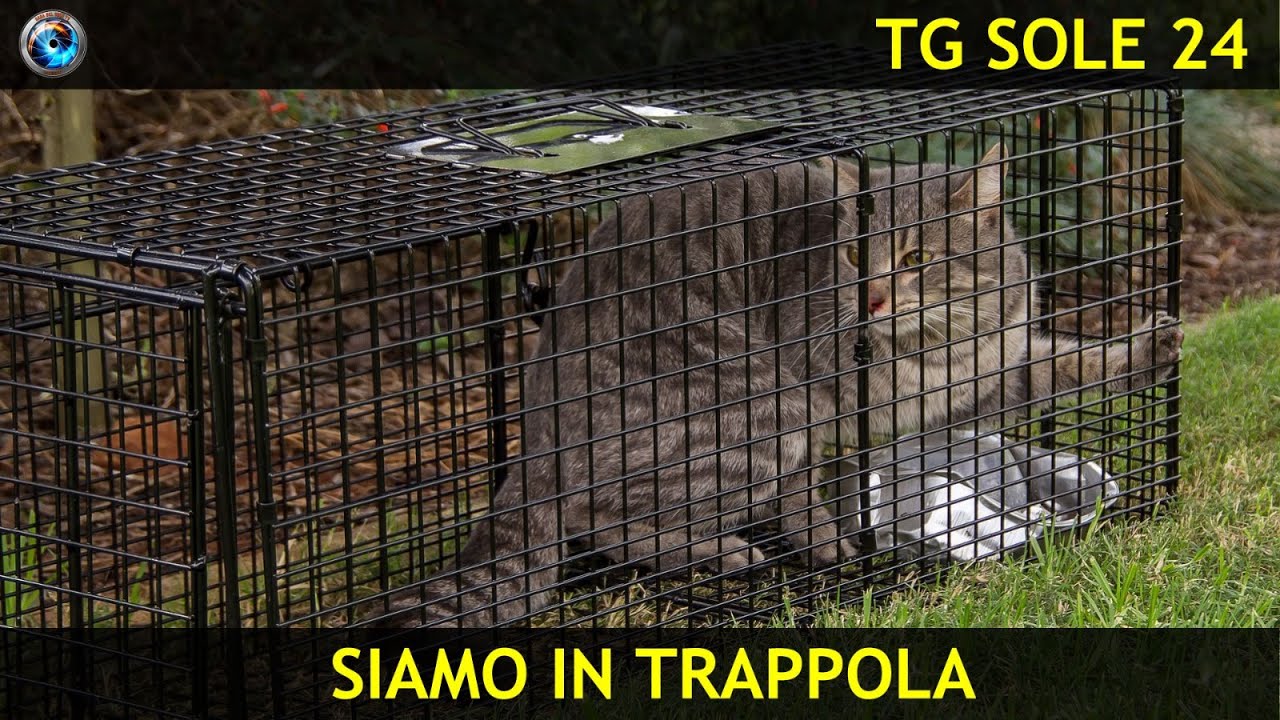 casadelsole.tv