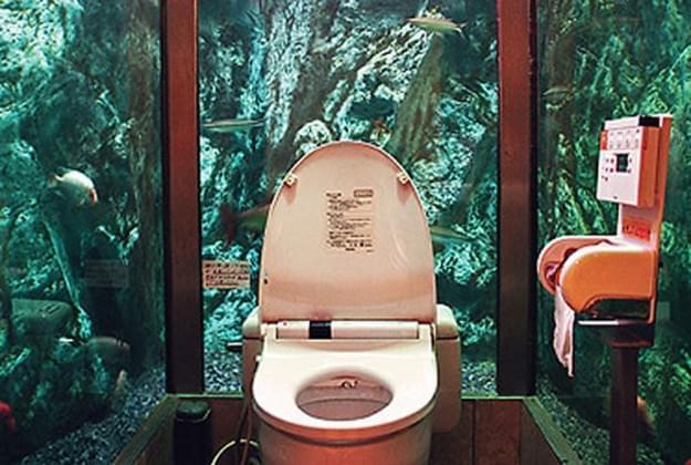 wc-acquario.jpg