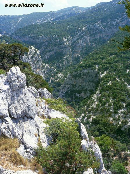 05.jpg