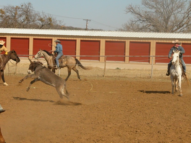 roping_099.jpg