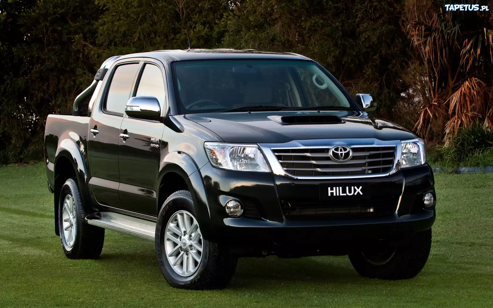 192353_toyota-hilux.jpg