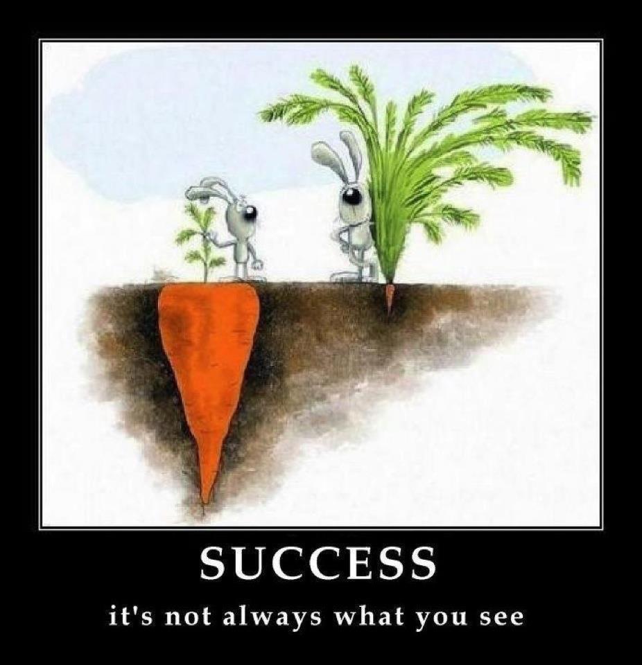 success-it-is-not-always-what-you-see.jpg