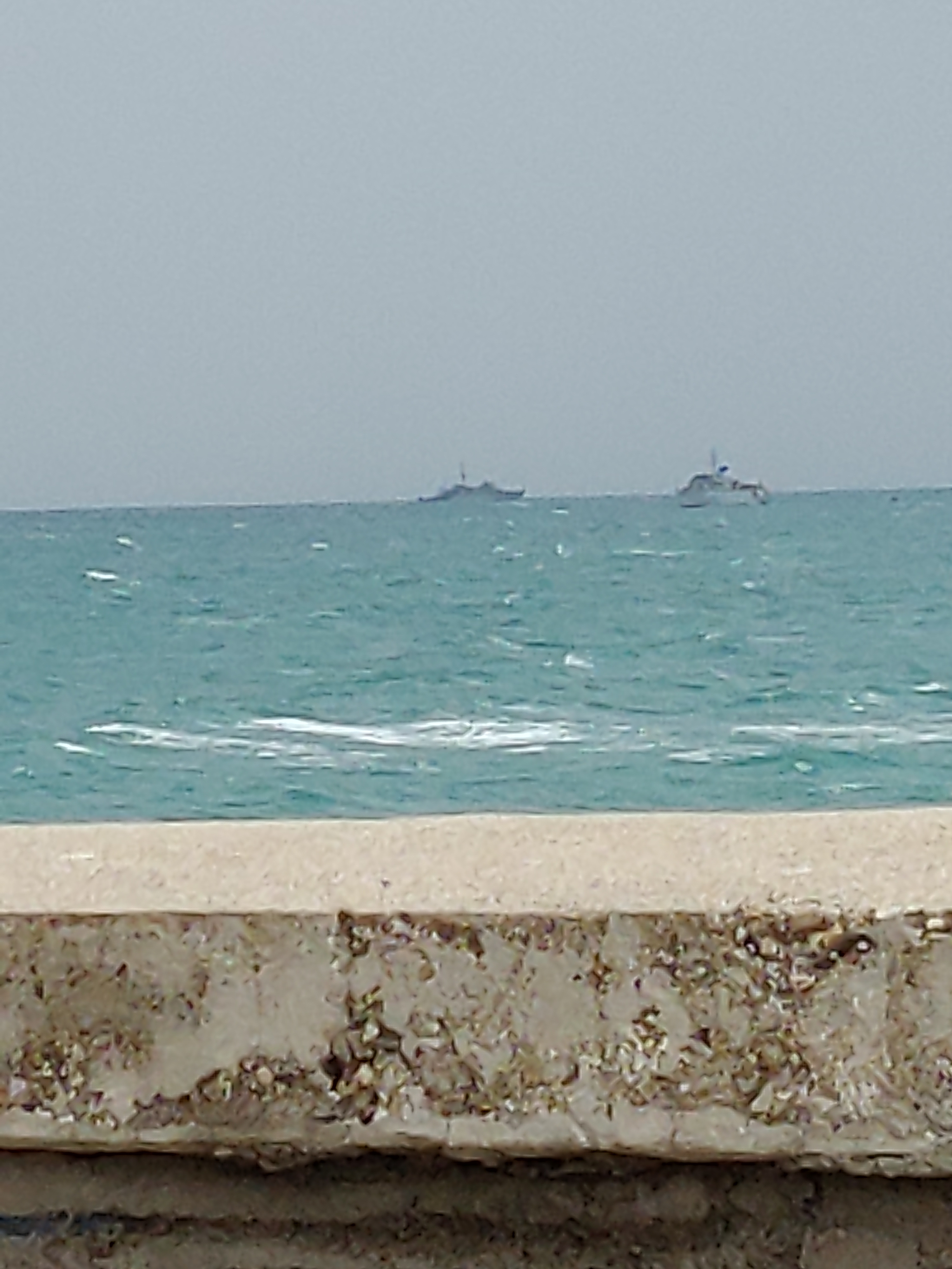 IMG-20220317-110349050.jpg