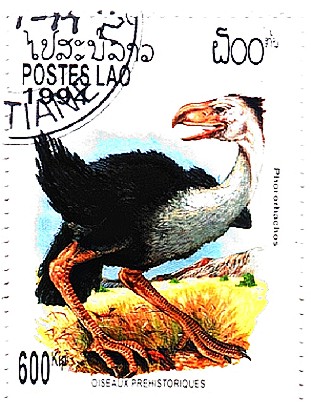 002fig017.jpg