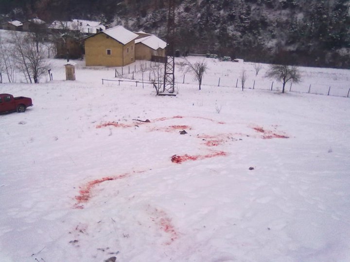 Sangue.jpg