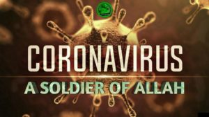 coronavirus-mujahed-300x169.jpg