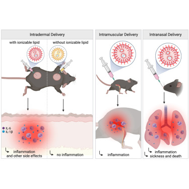www.sciencedirect.com