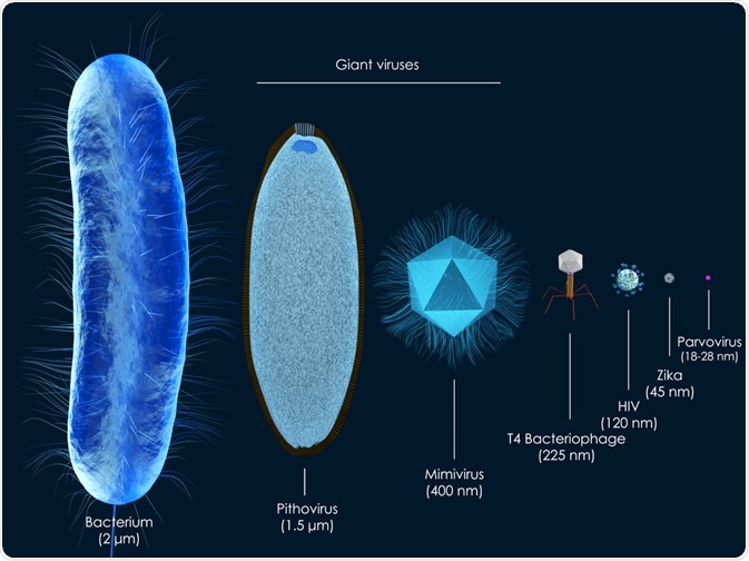 Dimensioni varianti del virus