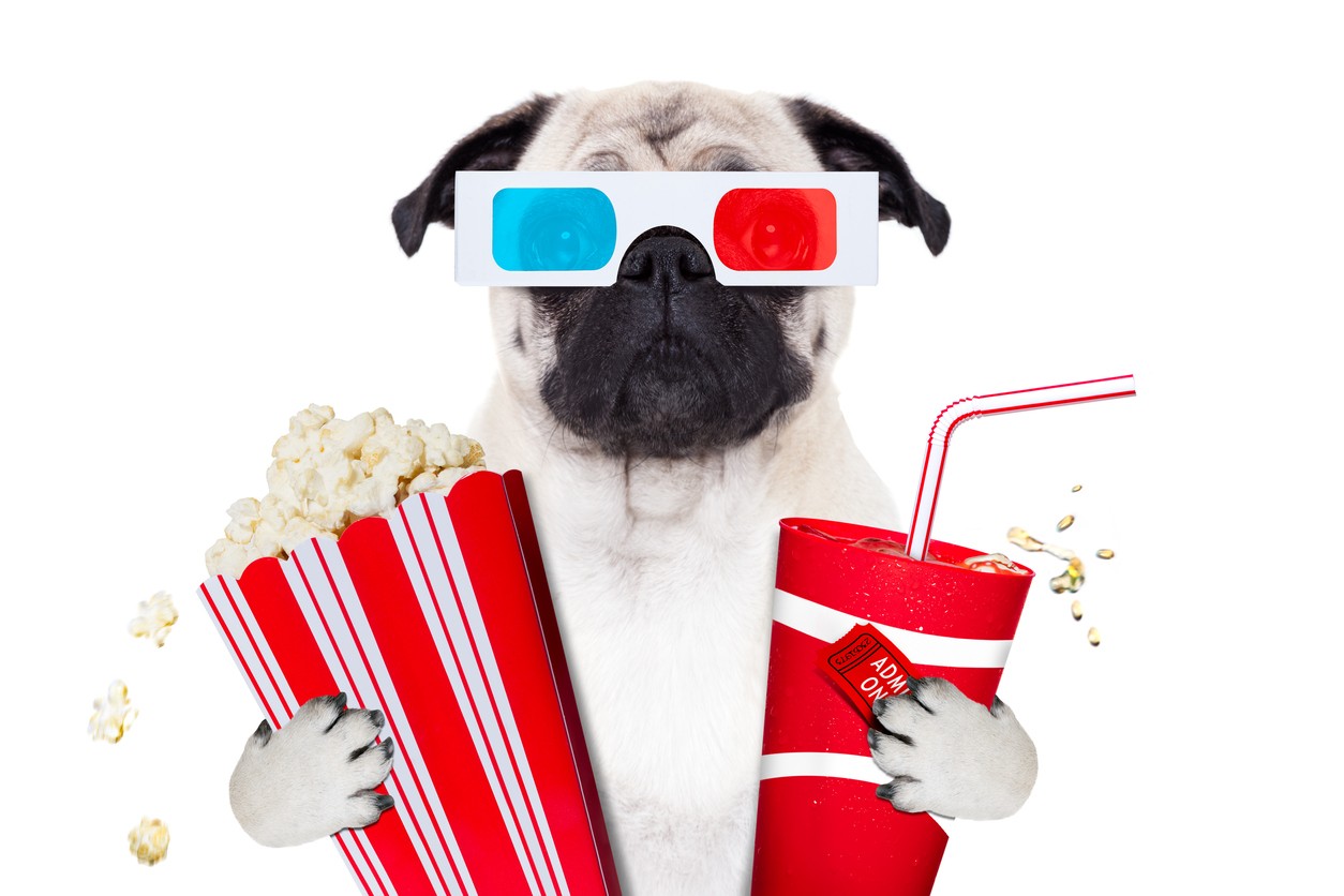 cane-al-cinema.jpg