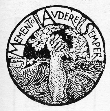 Image6.jpg
